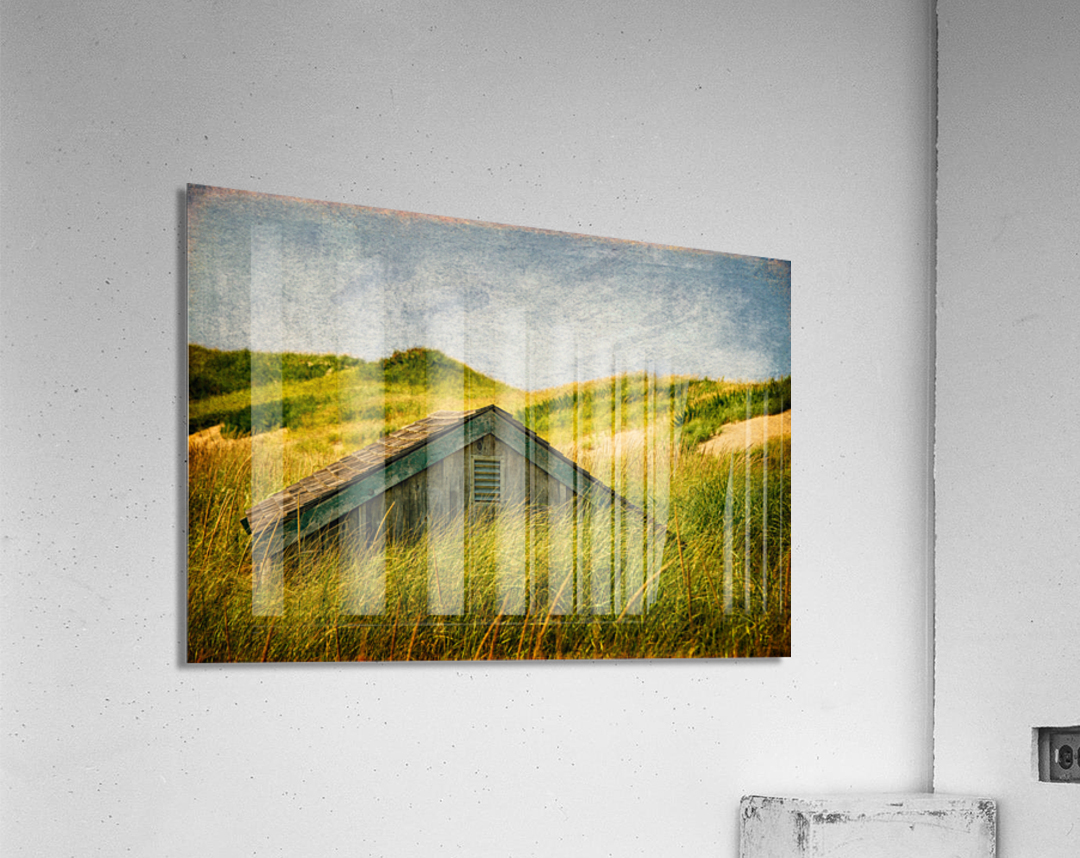 Head Of The Meadow   Acrylic Print 