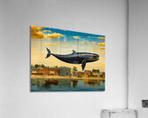 Whale Breach  29  Acrylic Print