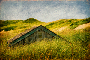 Head Of The Meadow 