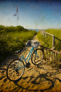 Endless Summer - Nantucket