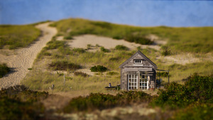 Summer Shack -  Provincelands
