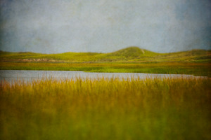 Sunken Meadow