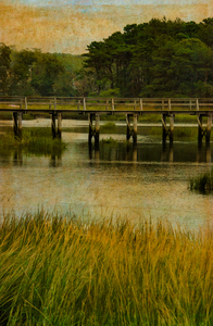 Uncle Tims Bridge