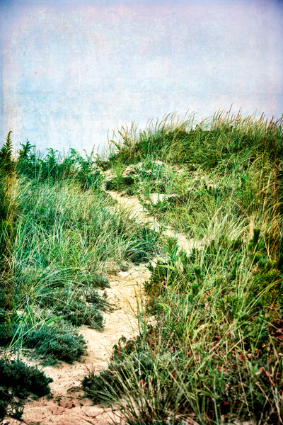 Dune Path  Print