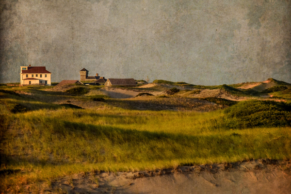The Provincelands Dunes   Print