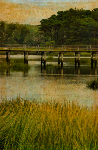 Uncle Tims Bridge  Print