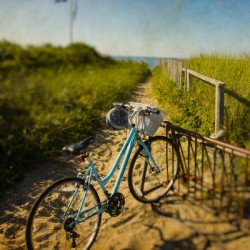 Endless Summer - Nantucket