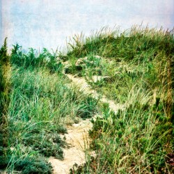 Dune Path