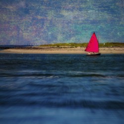 PINK SAIL - NANTUCKET