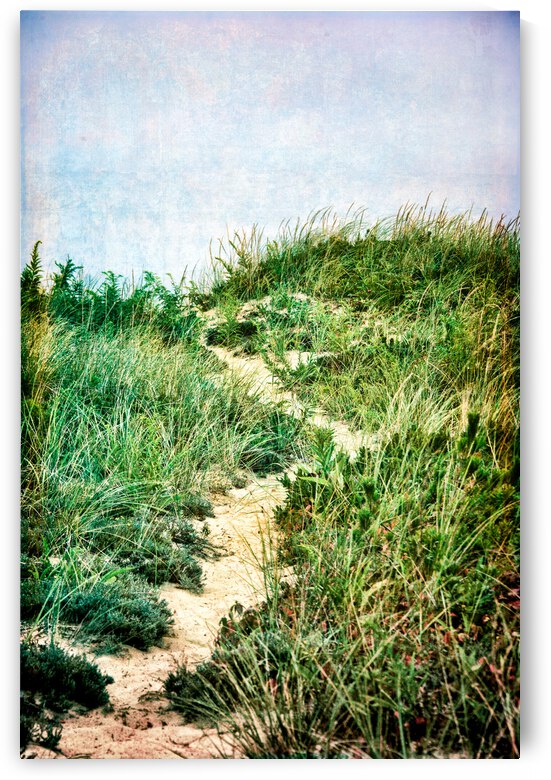Dune Path by ARTSEA CONTEMPORARY
