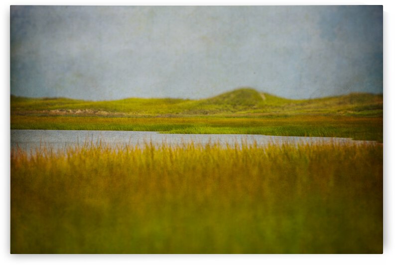 Sunken Meadow by ARTSEA CONTEMPORARY