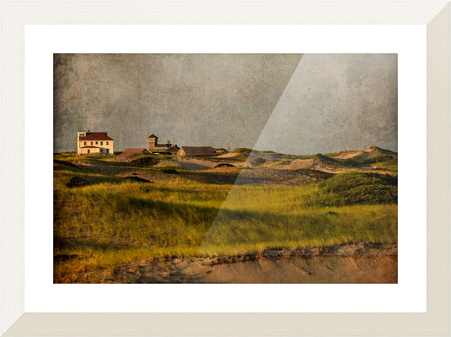 The Provincelands Dunes  Picture Frame print
