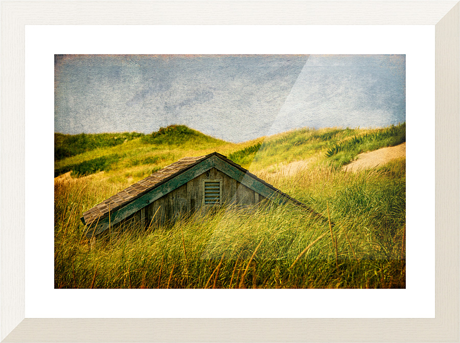 Head Of The Meadow  Picture Frame print