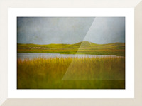 Sunken Meadow Picture Frame print