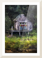 Sippewissett Shack  Picture Frame print