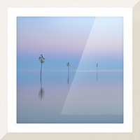 Harbor Reflections         square Picture Frame print