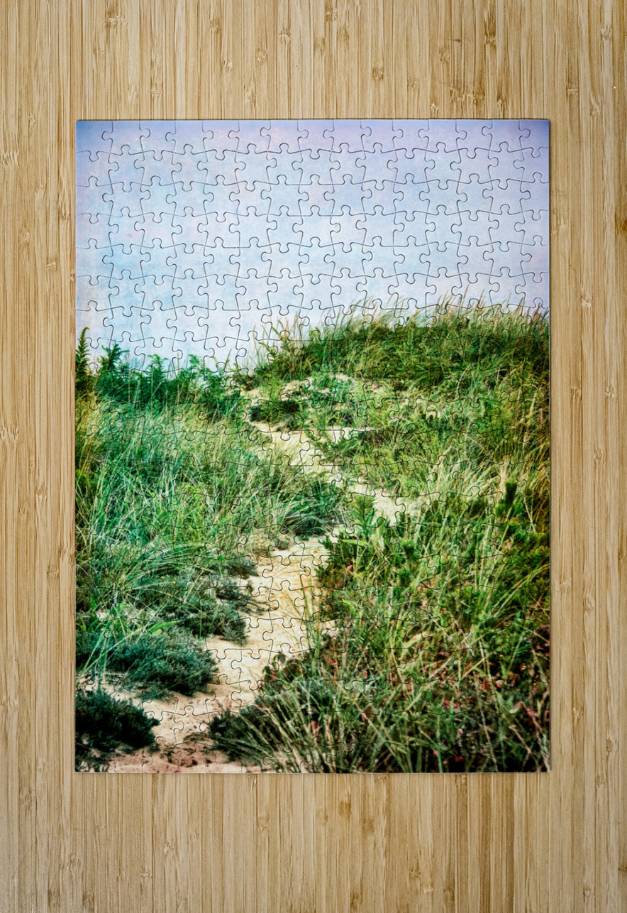 Dune Path  HD Metal print with Floating Frame on Back