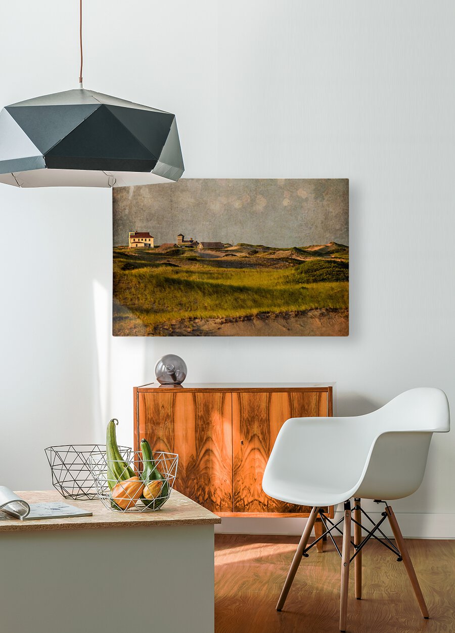 The Provincelands Dunes   HD Metal print with Floating Frame on Back