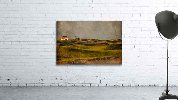 The Provincelands Dunes  by ARTSEA CONTEMPORARY