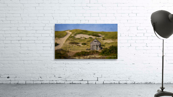 Summer Shack -  Provincelands by ARTSEA CONTEMPORARY